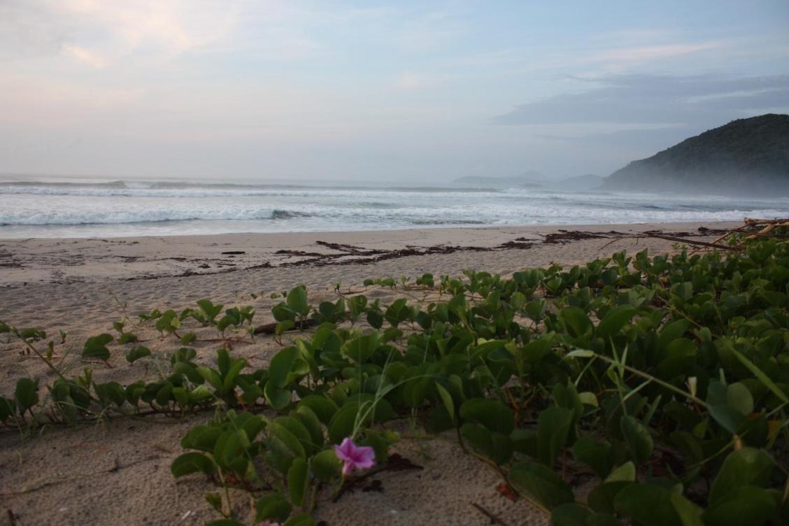 Maloquinha Itamambuca. A Mais Charmosa De Ubatuba. Luaran gambar